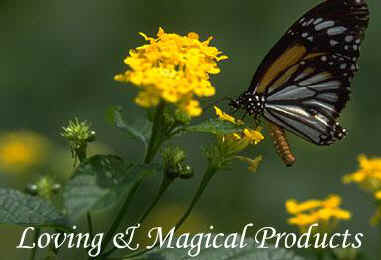essential restoratives butterfly